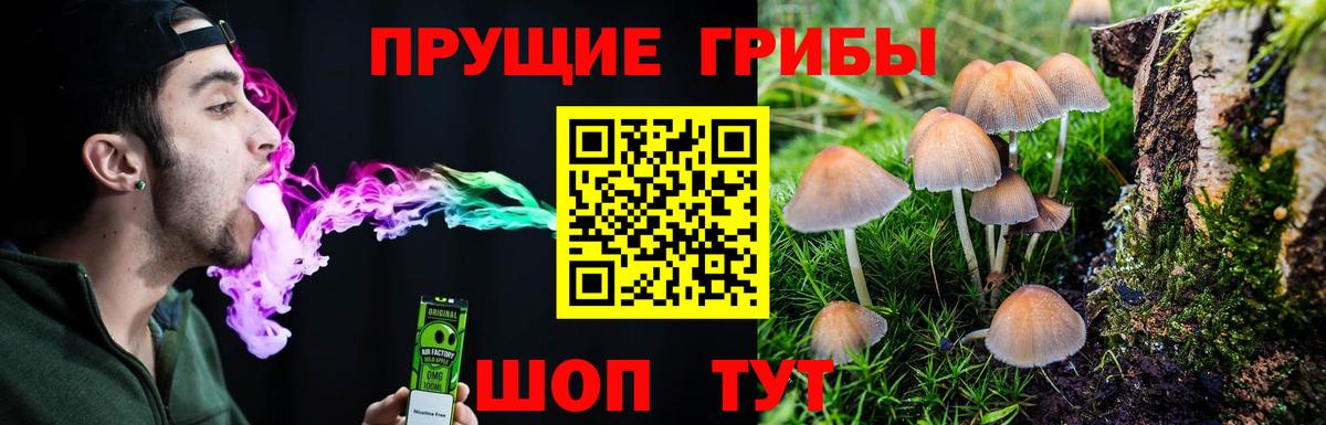 Псилоцибиновые грибы мухоморы Барнаул